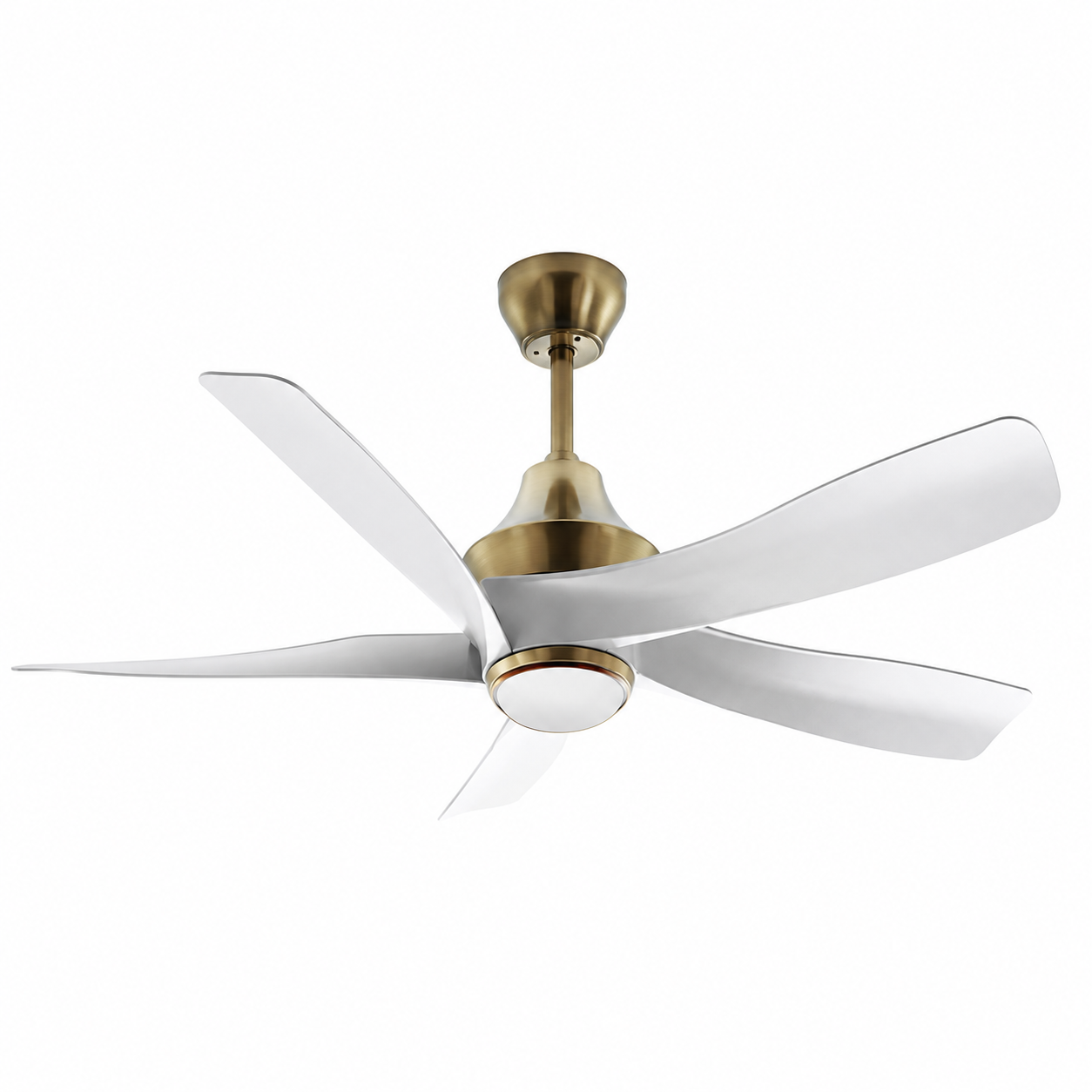 Exclusive Ceiling Fan with LED Light