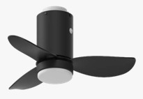 Exclusive Ceiling Fan with LED Light