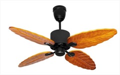 Exclusive Ceiling Fan with LED Light