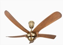 Exclusive Ceiling Fan with LED Light