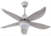 Exclusive Ceiling Fan with LED Light